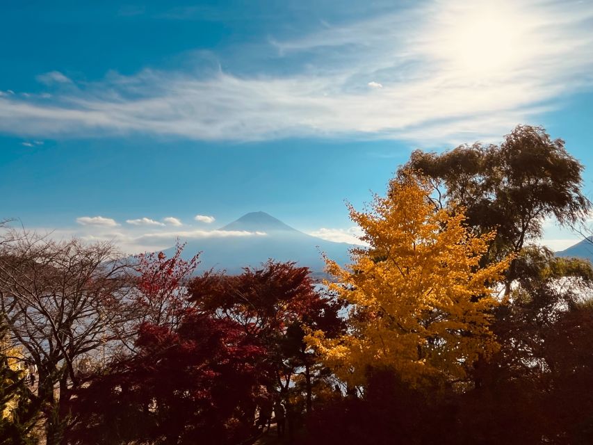 From Tokyo: Mt.Fuji, Tea Ceremony & Outlet Shopping Day Tour - Shinjuku meeting point, and why starting here matters