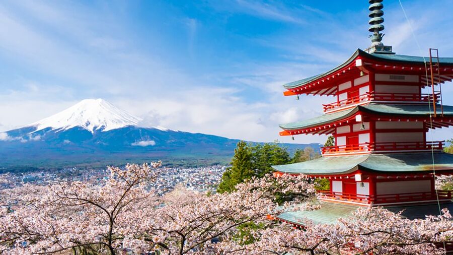From Tokyo: Mt.Fuji, Tea Ceremony & Outlet Shopping Day Tour - Lake Kawaguchi stop: photos, a short walk, and tea ceremony time