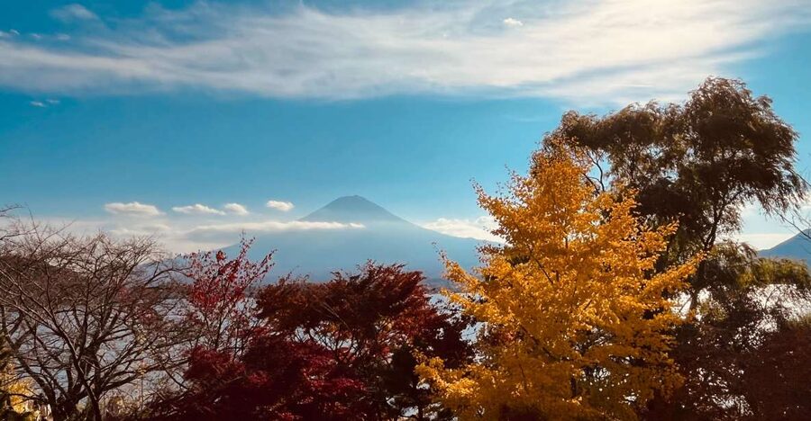 From Tokyo: Mt.Fuji, Tea Ceremony & Outlet Shopping Day Tour - Price and what $70 really covers