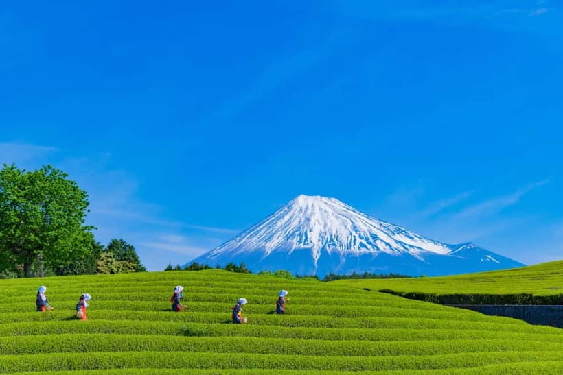 From Tokyo: Must-Visit Mount Fuji Highlight Full-Day Tour - Weather Luck: How to Think About Fuji Visibility