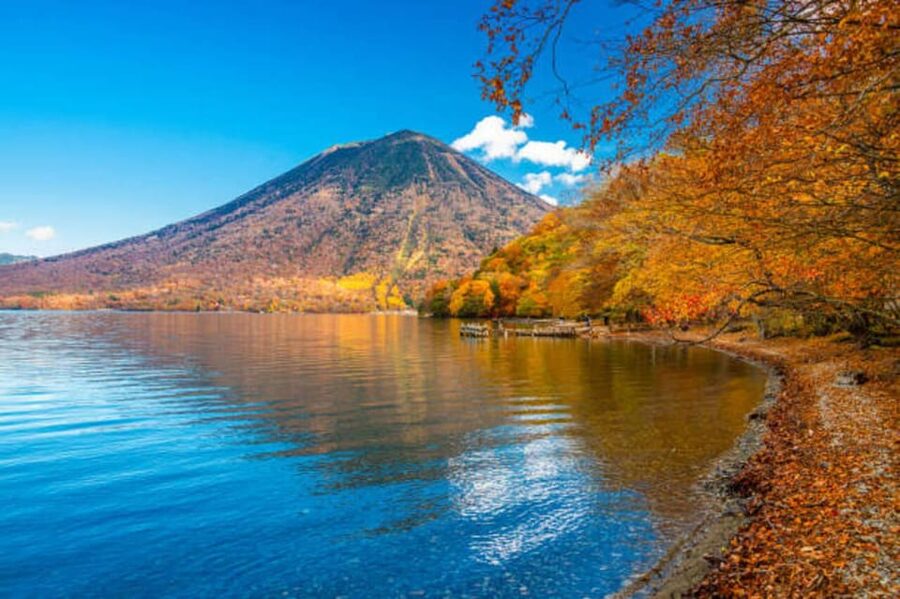 From Tokyo: Nikko Toshogu Day tour with Traditional Lunch - Meeting point and schedule: what the day actually feels like