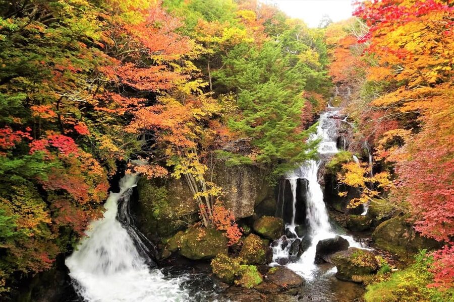 From Tokyo: Nikko World Heritage Site Private Full-Day Trip - Why Nikko Works So Well as a One-Day Break From Tokyo