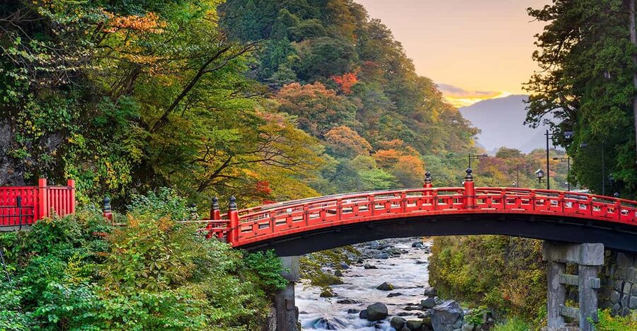From Tokyo: Nikko World Heritage Site Private Full-Day Trip - Toshogu Shrine and Rinno-ji, the World Heritage Core You Shouldn’t Rush