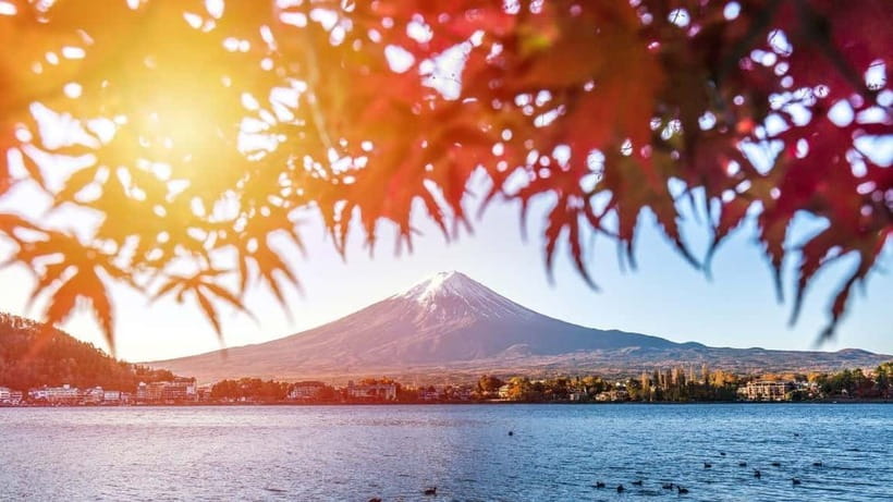 From Tokyo: Private Mt. Fuji and Hakone Tour by Car - Why this Fuji and Hakone day works so well from Tokyo