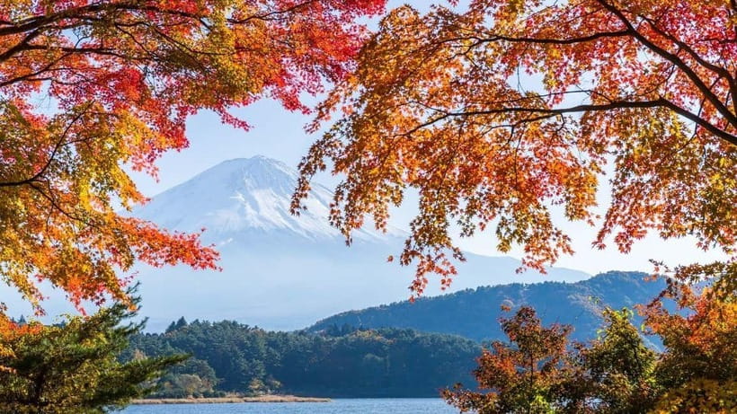 From Tokyo: Private Mt. Fuji and Hakone Tour by Car - Yamanakako: calm Fuji reflections and an easy start