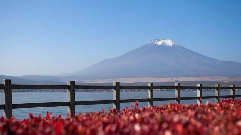 From Tokyo: Private Mt. Fuji and Hakone Tour by Car - Owakudani: steam, volcanic vents, and the black egg moment