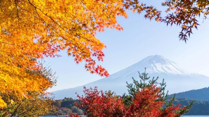 From Tokyo: Private Mt. Fuji and Hakone Tour by Car - Hakone Shrine and the lakeside torii moment