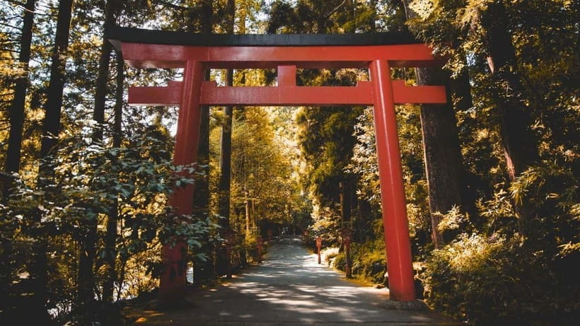 From Tokyo: Private Mt. Fuji and Hakone Tour by Car - Heiwa no Torii and closing with one last photo