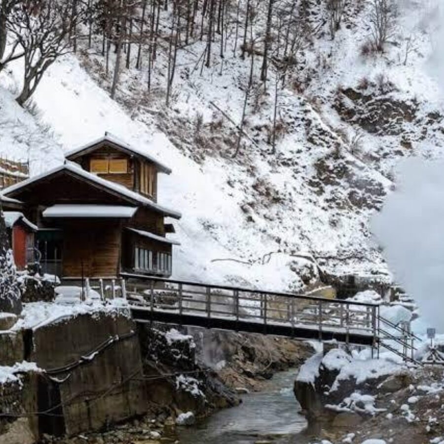 From Tokyo: Private Tour Snow Monkey Park & Zenko-ji Temple - What to Bring, What Not to Do, and Ticket Reality