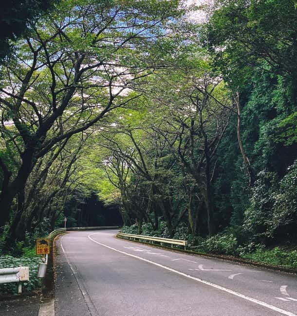From Tokyo: Private Tour to Fuji/Hakone - Onsen, Art, Nature - Why this Tokyo to Hakone day trip feels different