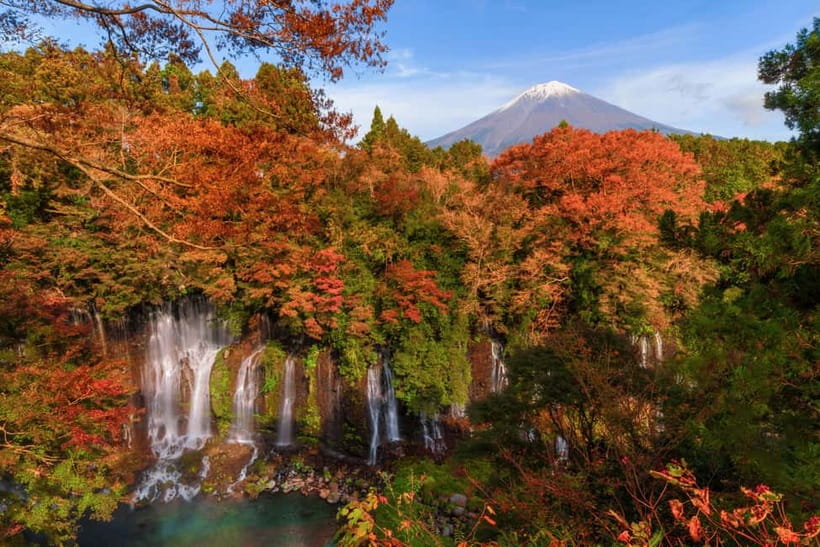From Tokyo: Private Tour to Fuji/Hakone - Onsen, Art, Nature - Lake Ashi and Hakone Shrine: where the day slows down
