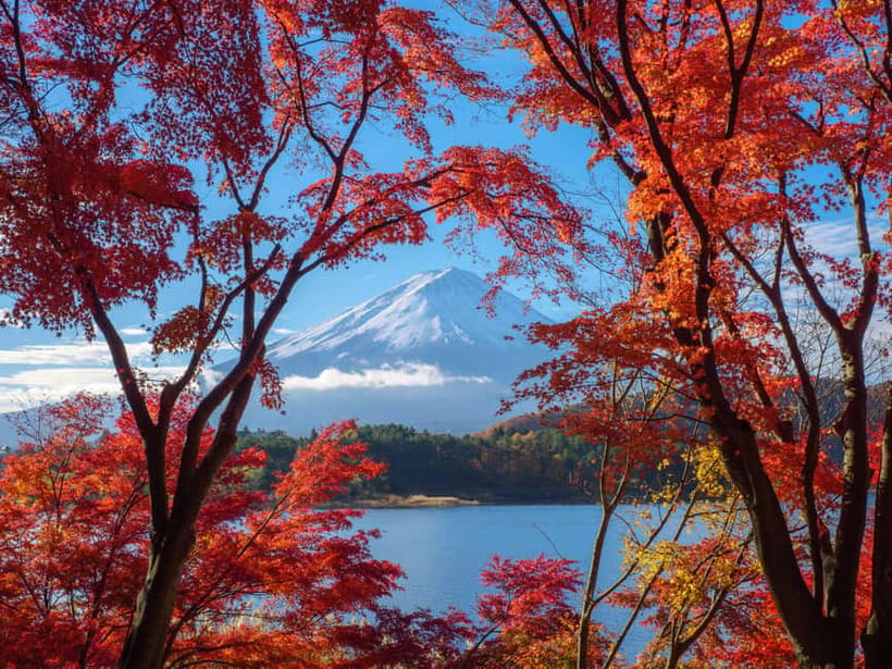 From Tokyo: Private Tour to Fuji/Hakone - Onsen, Art, Nature - Hakone Open-Air Museum: art that works outdoors