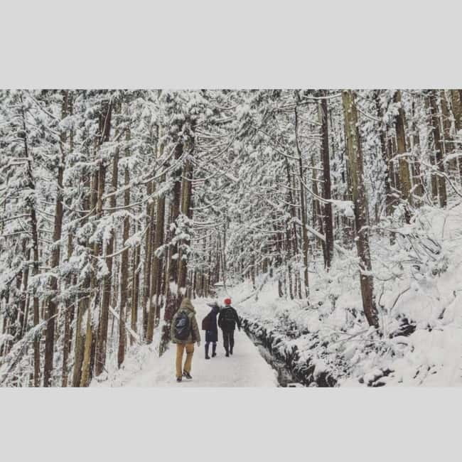From Tokyo: Snow Monkey Park and Miso Production Day Tour - Zenko-ji Temple: Spiritual but Also Very Walkable