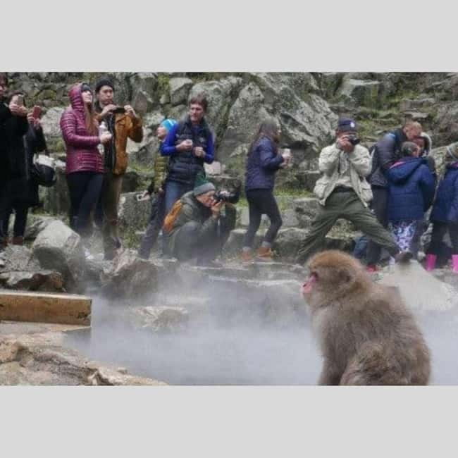 From Tokyo: Snow Monkey Park and Miso Production Day Tour - Matsushiro Castle Ruins: Feudal Echoes Without the Pressure