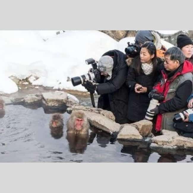 From Tokyo: Snow Monkey Park and Miso Production Day Tour - Obuse Town for Miso Production Culture and Old Streets