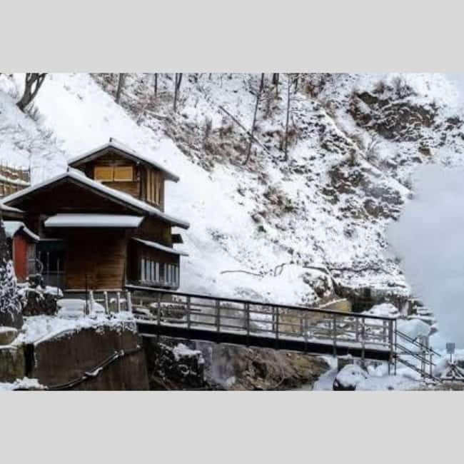 From Tokyo: Snow Monkey Park and Miso Production Day Tour - The Real Star: Jigokudani Snow Monkey Park in Winter