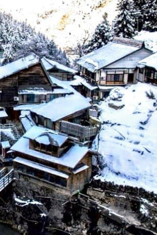 From Tokyo: Snow Monkey Private Customize Day Tour - Zenko-ji Temple in 30 Minutes: What You Can Actually See