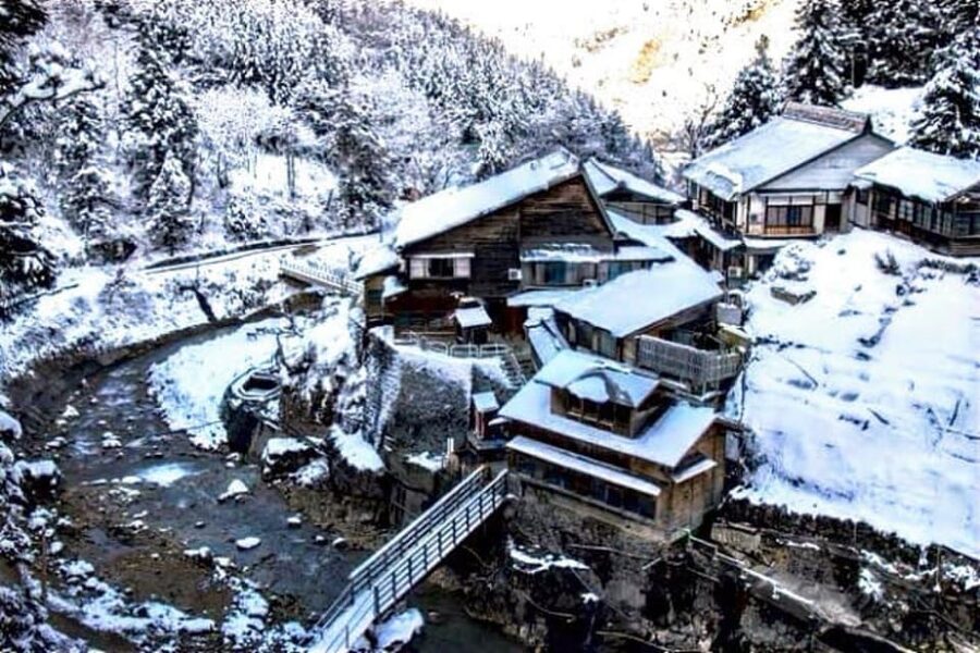 From Tokyo: Snow Monkey Private Customize Day Tour - Matsumoto for an Hour: A Perfect Stop for Architecture and Atmosphere
