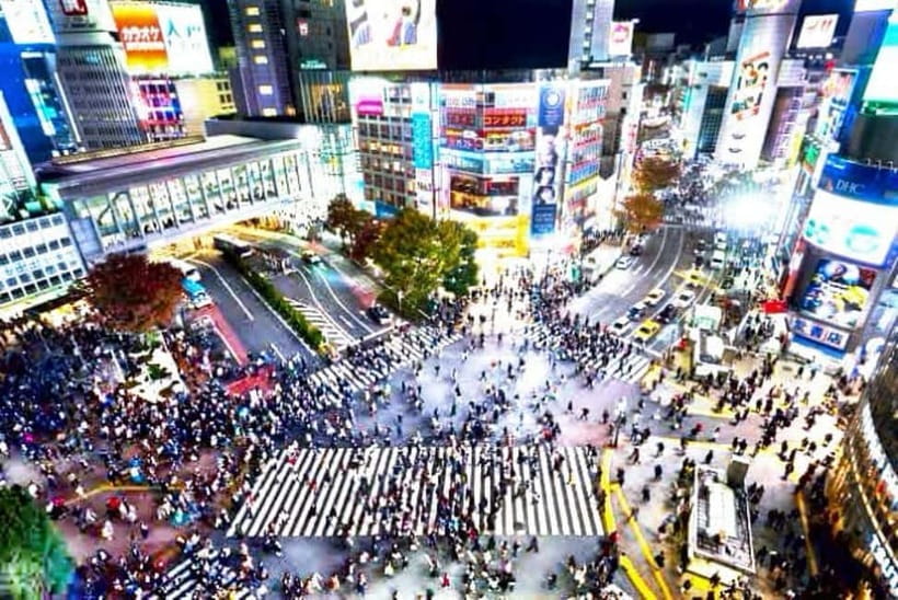 From Tokyo: Tokyo Private Customize Tour With English Driver - Key highlights you’ll feel right away