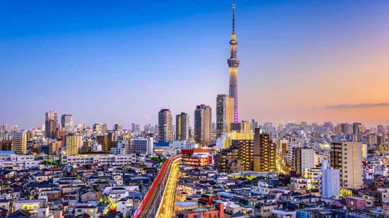 From Tokyo: Tokyo Private Customize Tour With English Driver - A customized route, from shrine calm to city crowds