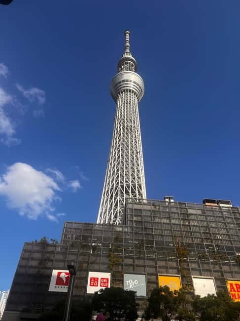 From Tokyo: Tokyo Private Customize Tour With English Driver - Meiji Shrine and Harajuku: quiet forest steps then fashion shopping