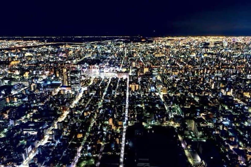 From Tokyo: Tokyo Private Customize Tour With English Driver - Comfort and driver skills that keep the day smooth