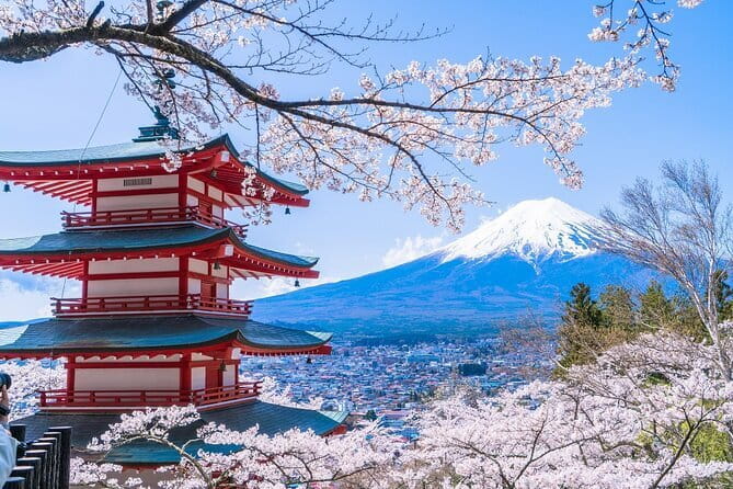 From Tokyo: Top 5 Scenic Spots of Mount Fuji Full-Day Tour - Key highlights that make this Mt. Fuji day tour worth your time