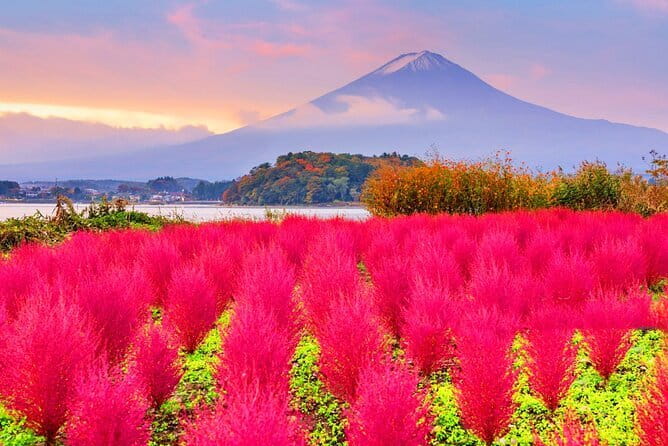 From Tokyo: Top 5 Scenic Spots of Mount Fuji Full-Day Tour - The value case for a Tokyo to Fuji full-day ride
