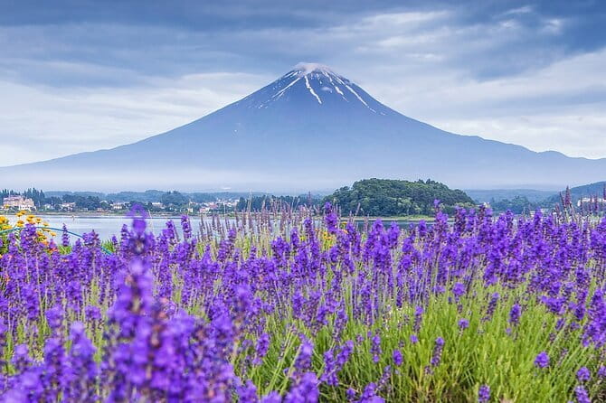 From Tokyo: Top 5 Scenic Spots of Mount Fuji Full-Day Tour - Pickup in Tokyo: where the day starts (and how to avoid confusion)