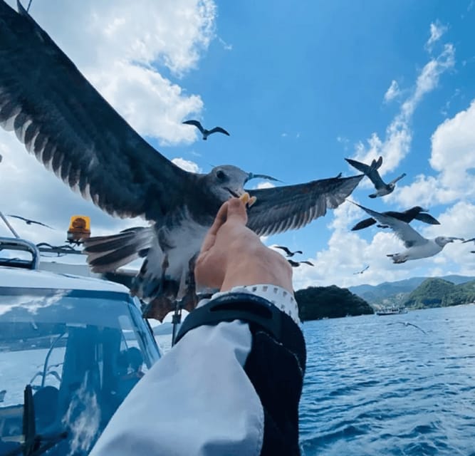 FromOsaka/Kyoto:Hiroshima & Miyajima Private Tour with Lunch - A long but well-managed day trip from Osaka or Kyoto