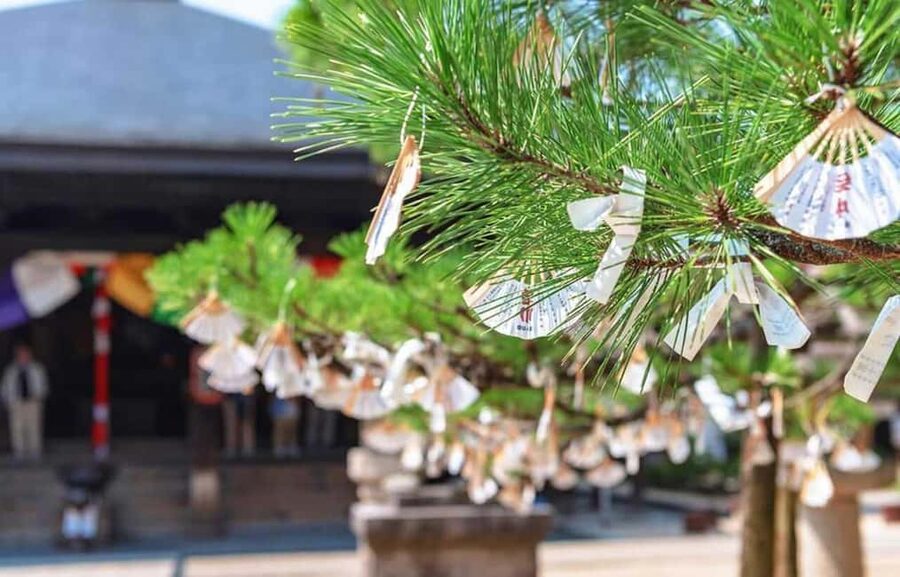 FromOsaka/Kyoto:Hiroshima & Miyajima Private Tour with Lunch - Price and value: $784 per group up to 6