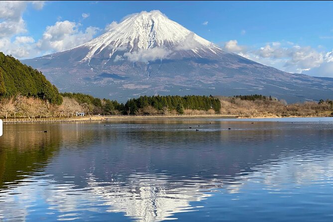Fuji Highlights Group Car Tour by Shimizu Port with Local Guide - Key highlights you should know before you go