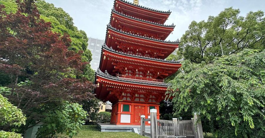 Fukuoka: Customized Private Tour - Key things to know before you go