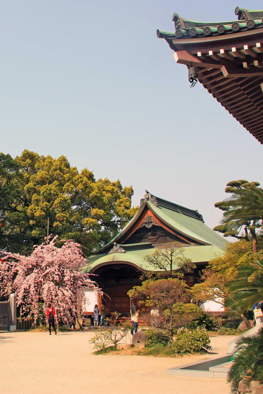 Fukuoka Essentials: History, Culture, & Charms - Shofukuji Temple: Kyushu’s oldest Zen stop with real atmosphere