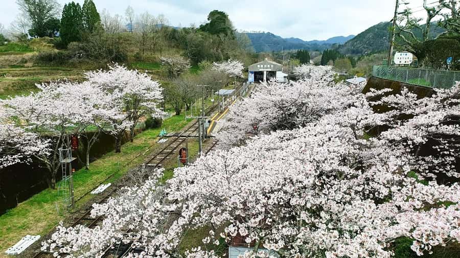 Fukuoka: Takachiho Gorge & Scenic Railway One Day Tour - Optional Takachiho boat ride: worth it, but don’t treat it like a freebie