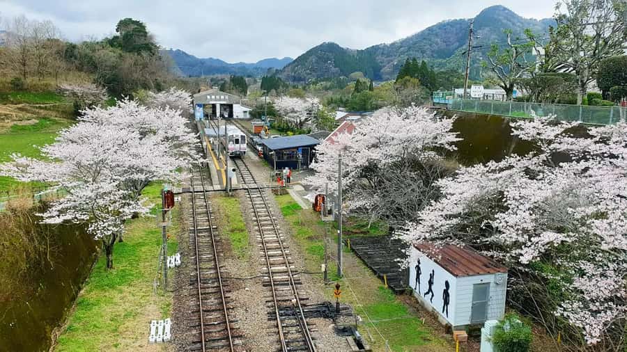 Fukuoka: Takachiho Gorge & Scenic Railway One Day Tour - What it feels like on the ground, with real guide energy