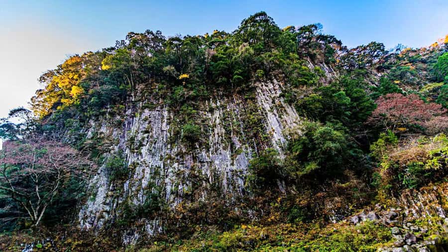 Fukuoka: Takachiho Gorge & Scenic Railway One Day Tour - Who this tour suits best, and who should skip it