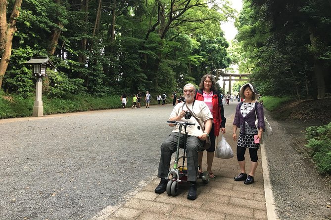 Full-Day Accessible Tour of Tokyo for Wheelchair Users - Trains, transfers, and pacing: what makes the logistics feel manageable