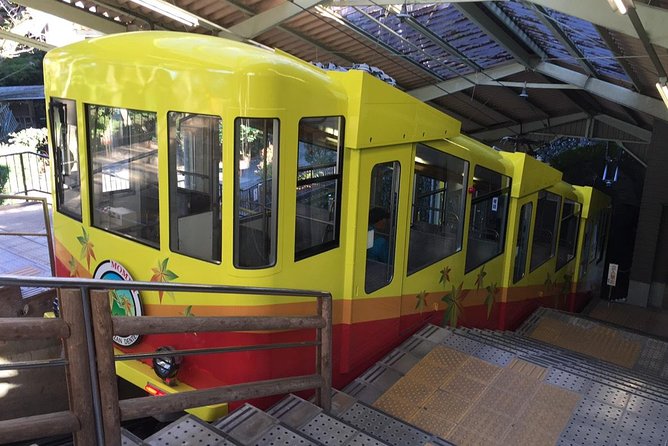 Full Day Hiking Tour at Mt.Takao including Hot Spring - Who This Tour Fits Best (And Who Should Rethink It)