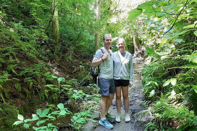 Full Day Hiking Tour at Mt.Takao including Hot Spring - Choosing Your Effort: Easy-to-Serious Trails on Mt. Takaosan