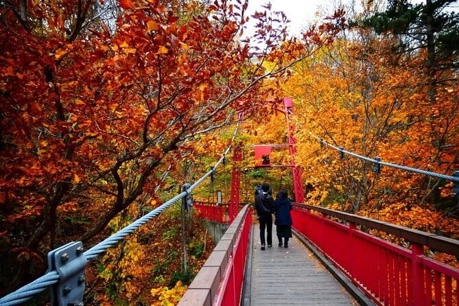 Full Day Indigenous Ainu of Hokkaido and Jozankei - Jozankei onsen town: Shikotsu-Toya National Park meets hot spring basics
