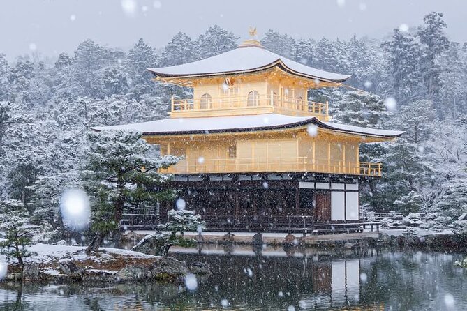 Full Day Kyoto Tour : Bamboo Forest, Golden Temple, Fushimi Inari - Price and Value: What You Pay For, What You Still Need to Budget