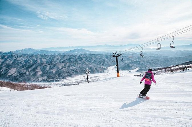 Full Day Private Skiing / Snowboarding Tour in Sapporo - Should you book this private full-day skiing and onsen tour?