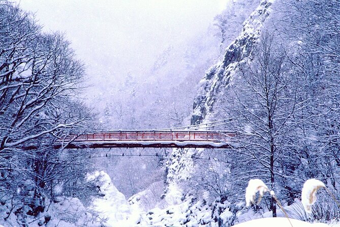 Full Day Private Skiing / Snowboarding Tour in Sapporo - Skiing at Sapporo Kokusai or Bankei: first-timer friendly by design