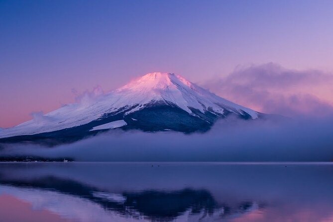 Full Day Private Tour in Mt. Fuji and Hakone - Door-to-Door Tokyo Pickup and a Private Car for 4