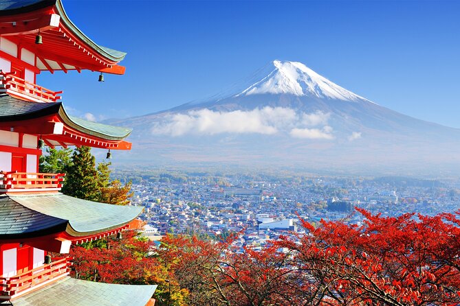 Full Day Private Tour in Mt. Fuji and Hakone - Ropeways and Cruises: Budget for the Extras Without Stress