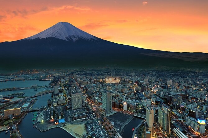Full Day Private Tour in Mt. Fuji and Hakone - Should You Book This Full Day Private Tour in Mt. Fuji and Hakone?