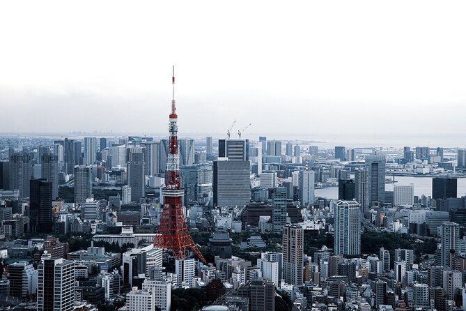 Full-Day Private Tour to Discover The Best of Tokyo - Akihabara to Ginza: tech, comics, then polish