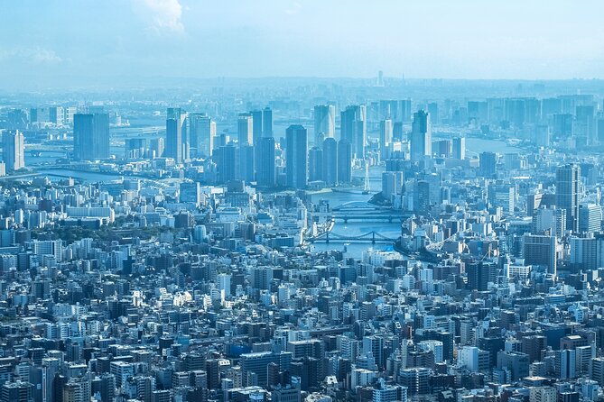 Full Day Tokyo Private Tour by Luxury Vehicle - Akihabara for electronics, anime, and quick browsing time