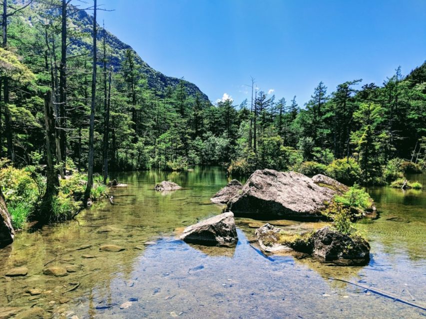 Full-Day Tour: Matsumoto Castle & Kamikochi Alpine Valley - Nawate-Dori Frog Street: weird, fun, and worth a short walk